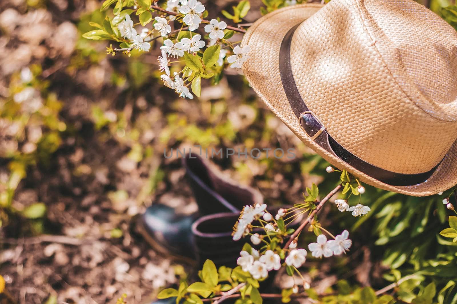 In the garden, on a tree with white cherry blossoms, there is a garden hat, and under it are boots. Gardening and gardening, Active recreation in the country