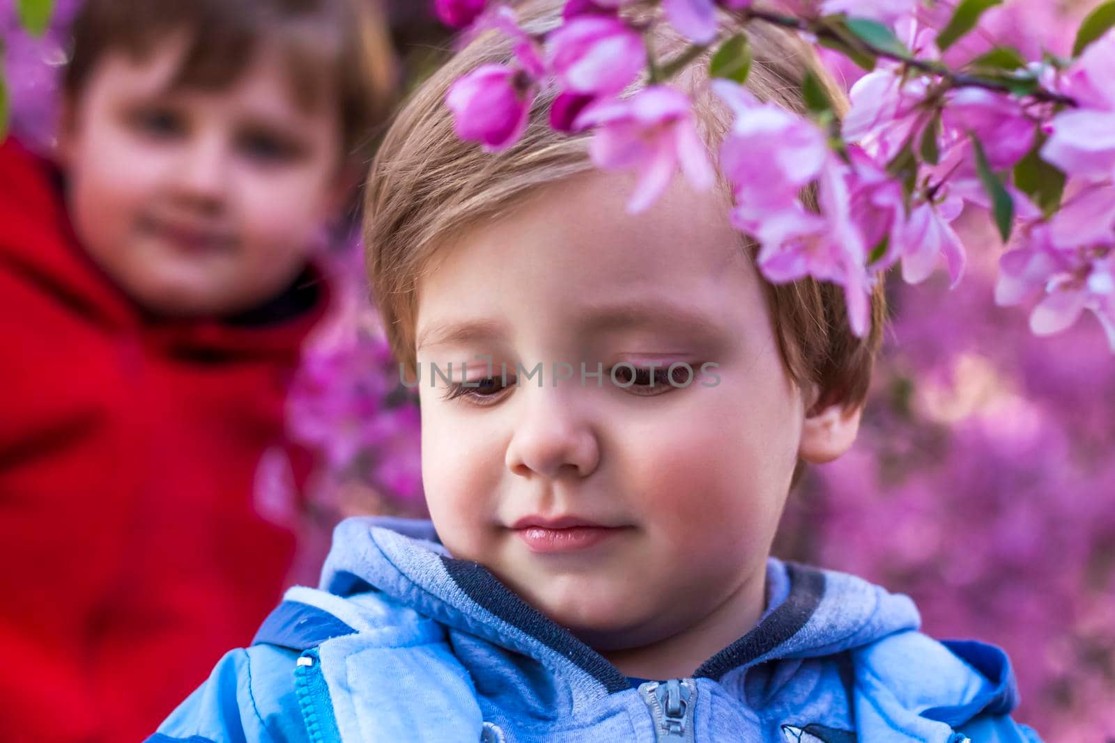 Portrait of children in pink apple blossoms. Apple tree in bloom. Spring flowering of the apple orchard. Background for presentations, posters, banners, and greeting cards. Soft focus, nature background