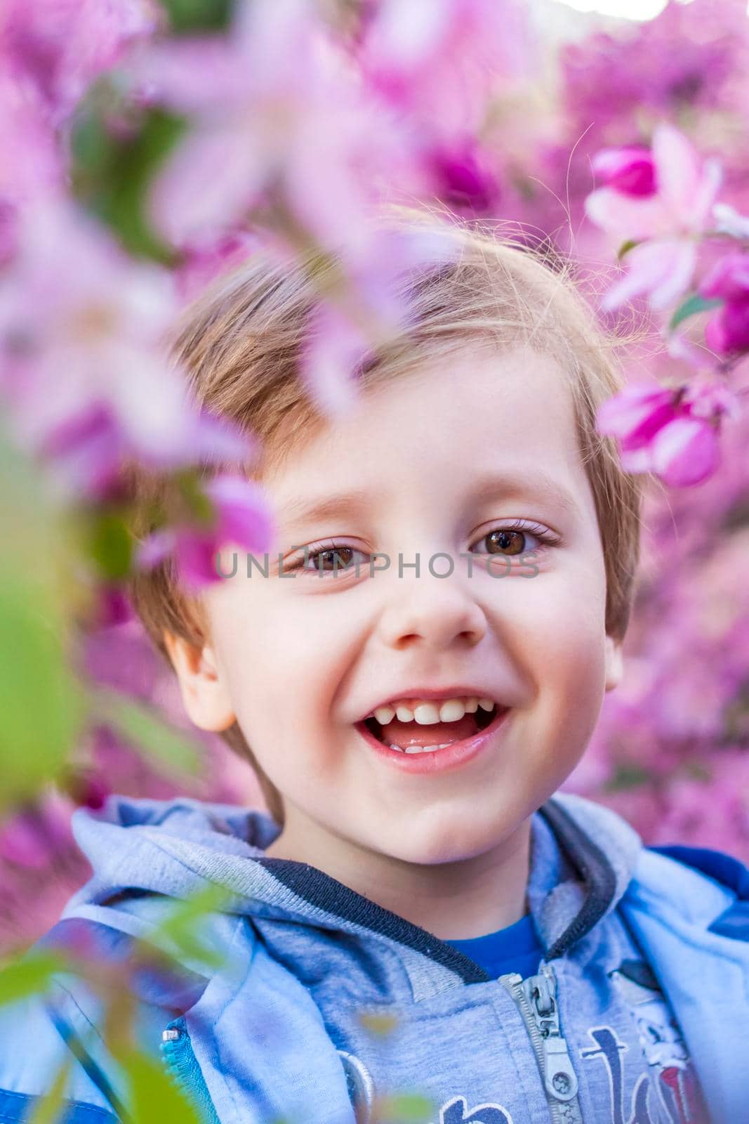 Portrait of a child in pink apple blossoms. Apple tree in bloom. Spring flowering of the apple orchard. Background for presentations, posters, banners, and greeting cards. Soft focus, nature background.