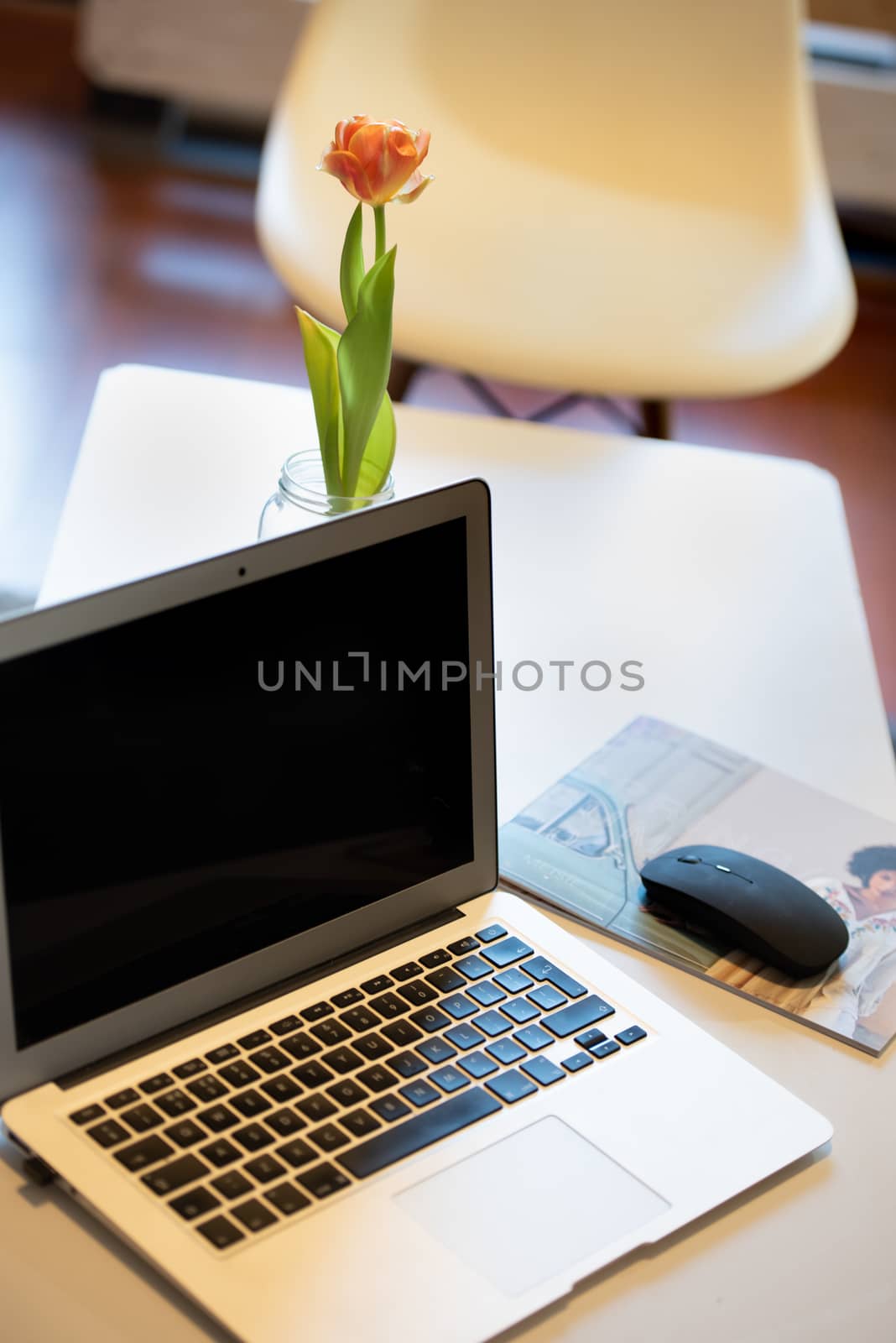 Modern workplace with notebook and little tree copy space on gray background. Top view. Flat lay style. by martinscphoto
