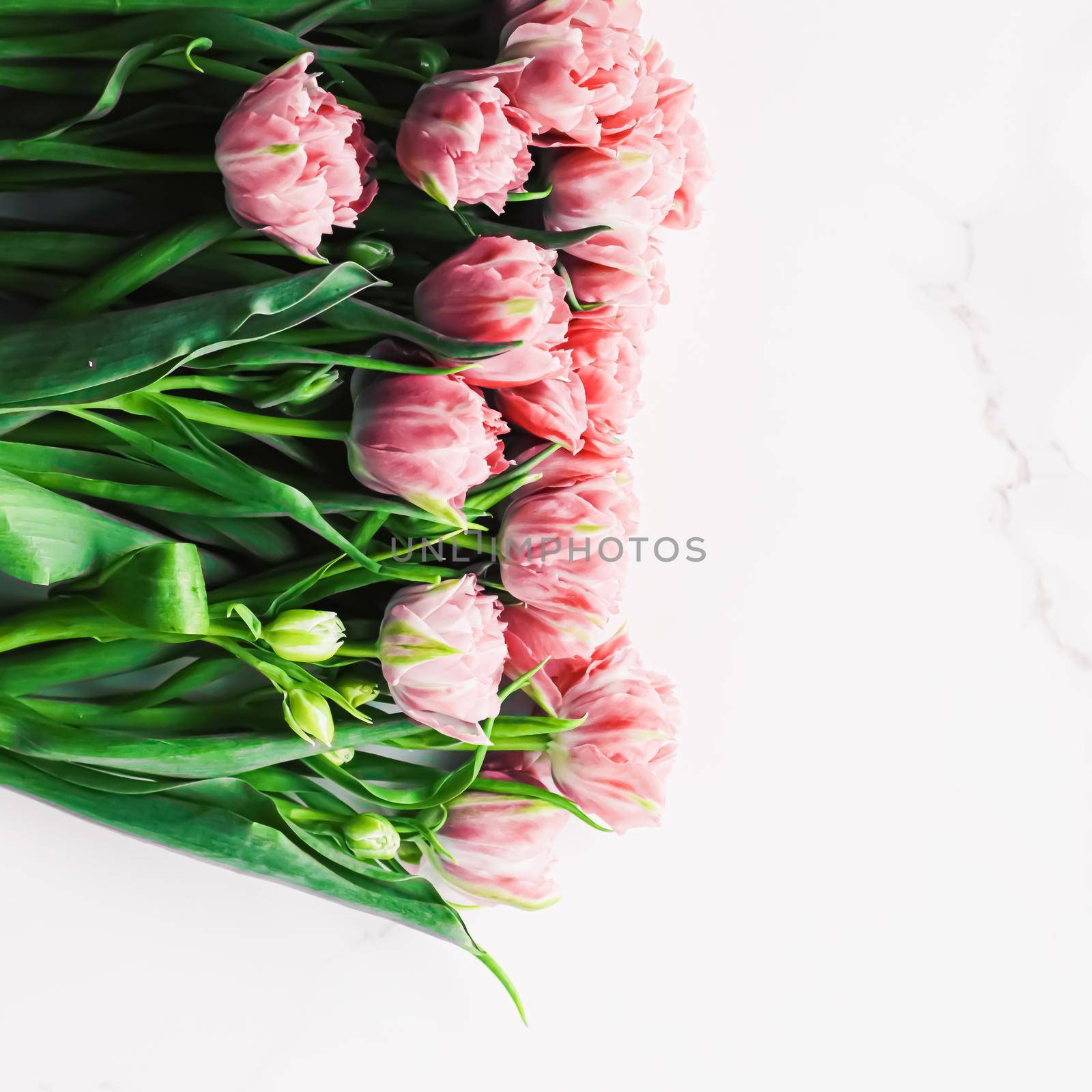 Spring flowers on marble background as holiday gift, greeting card and floral flatlay by Anneleven