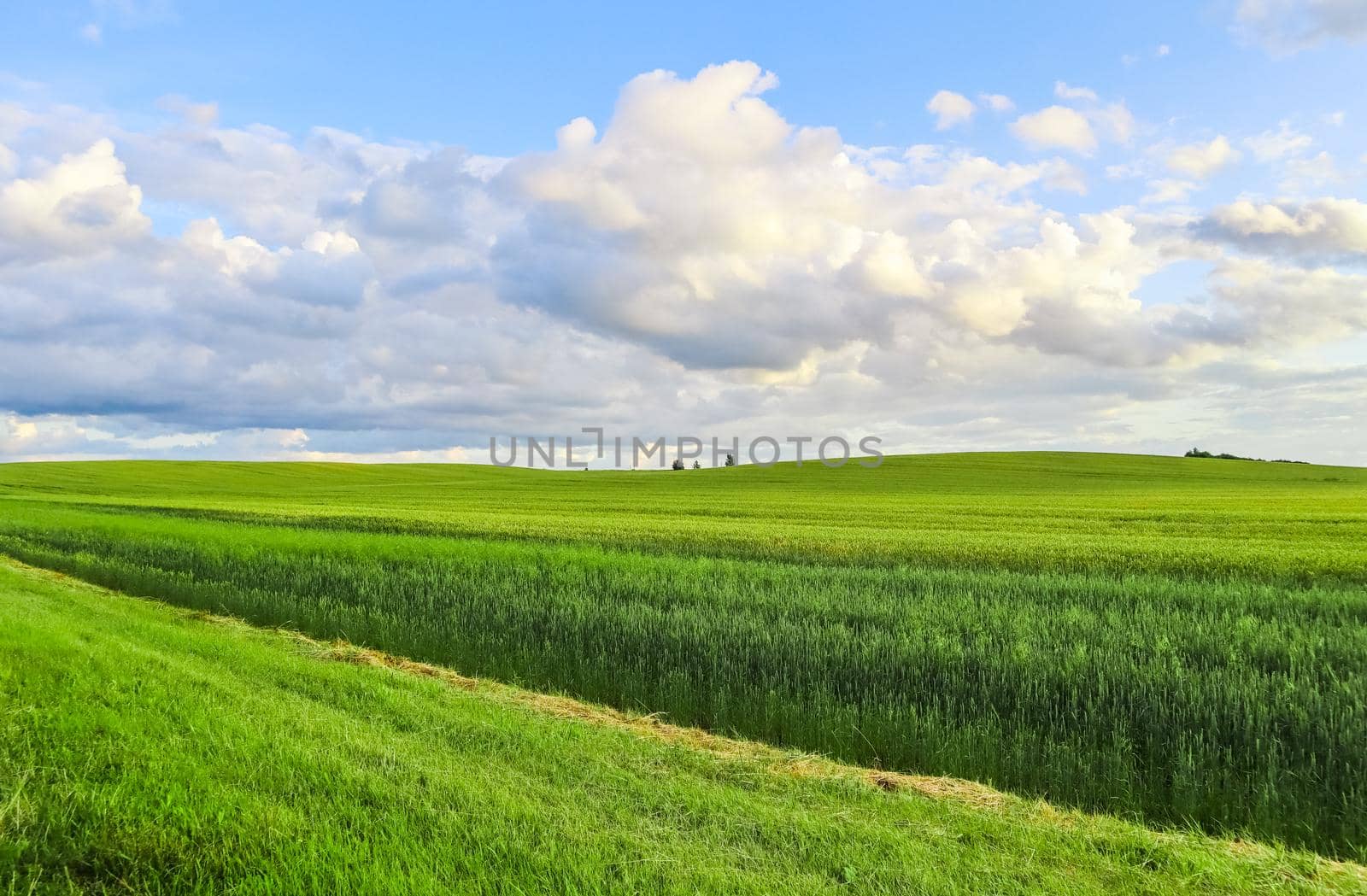 Wonderful green field, hills, trees and blue sky with clouds in the countryside. Spring landscape