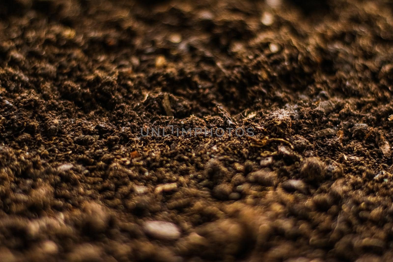 Earth ground texture as background, nature and environment by Anneleven