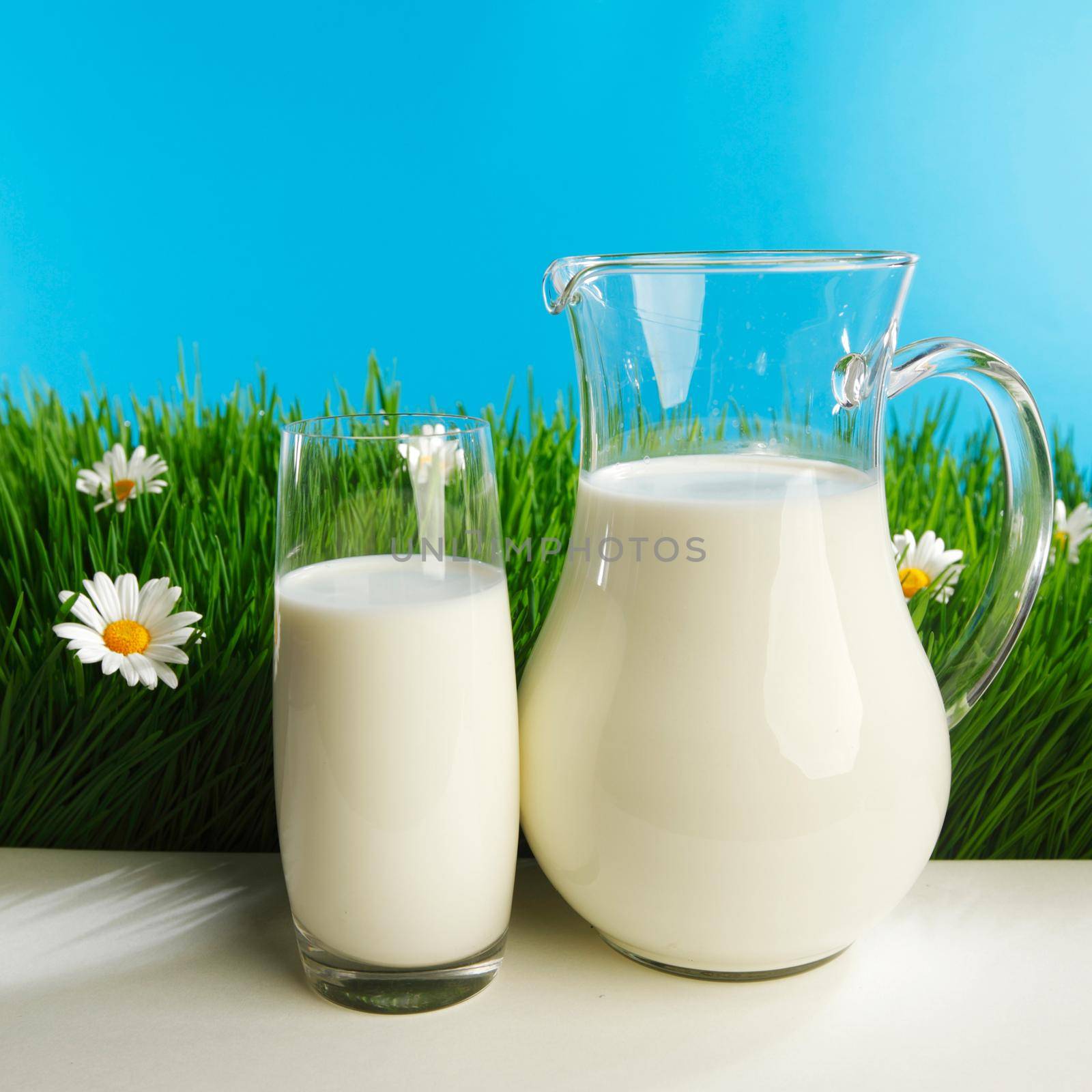 Glass of milk and jar on fresh grass meadow with chamomiles