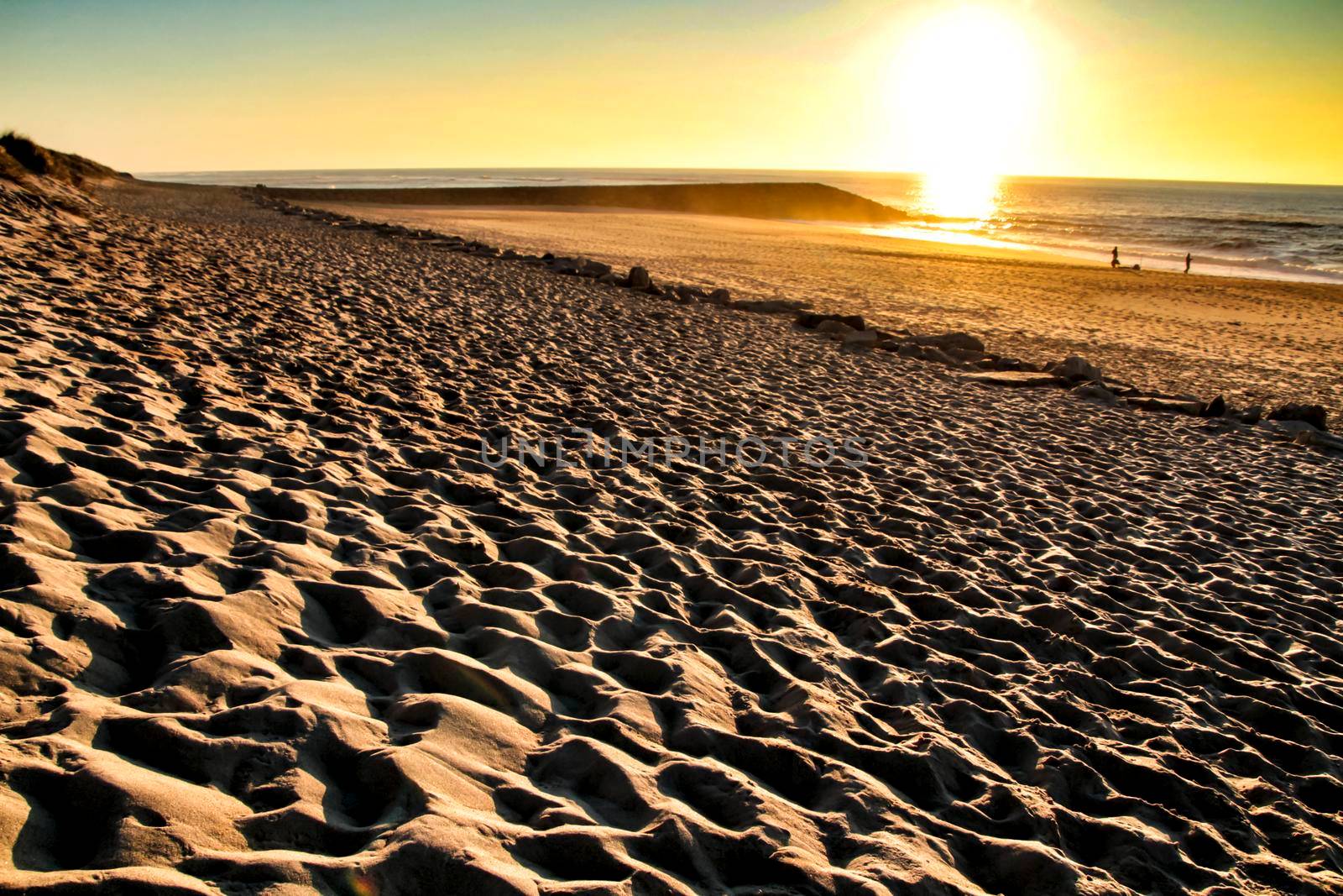 Beautiful beach with dunes and bushes in Aveiro, Porto, Portugal