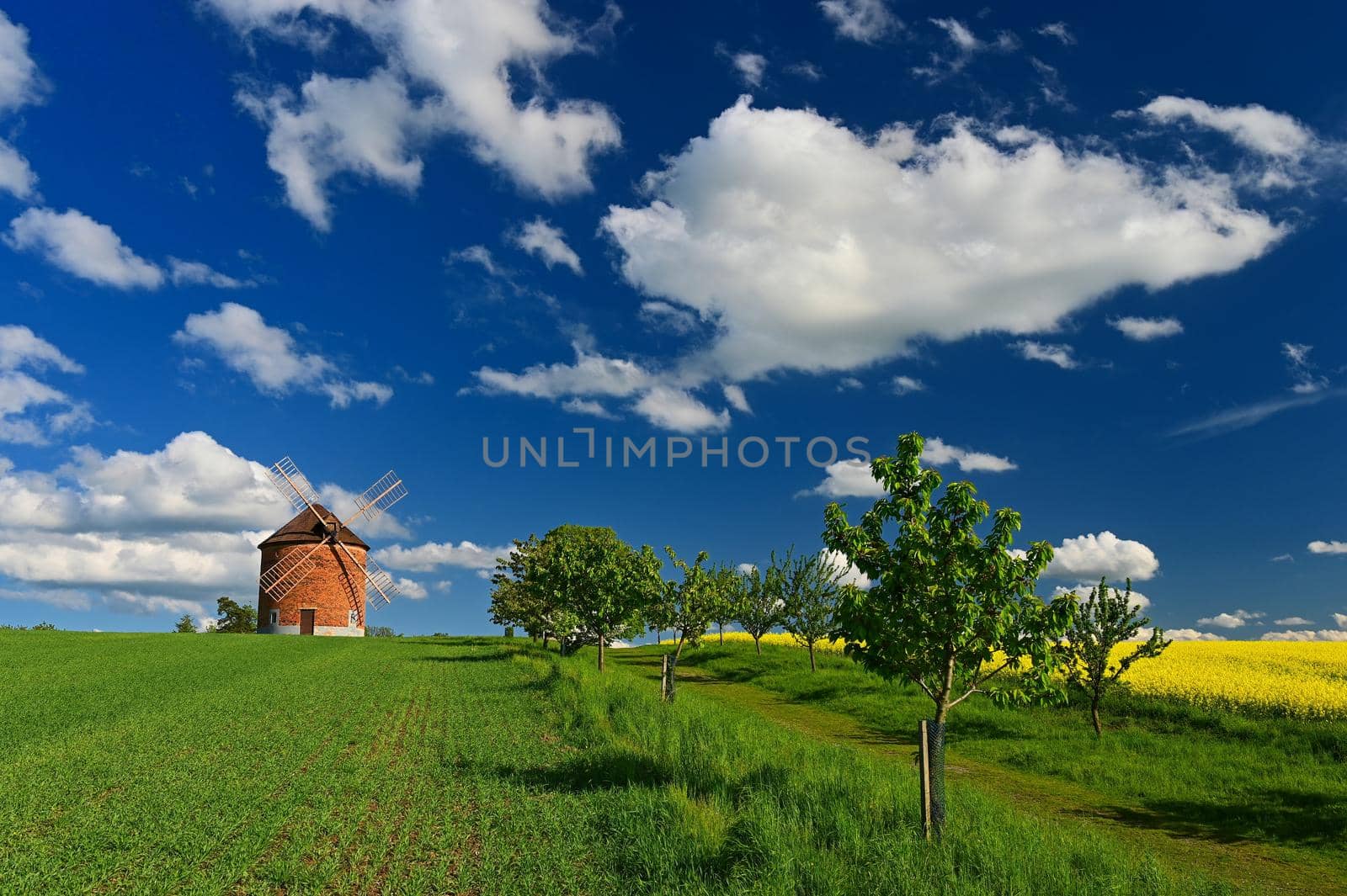 Beautiful spring landscape with blue sky, sun, clouds and old windmill.
Czech Republic Europe