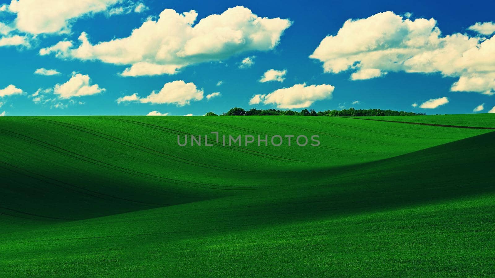 Beautiful spring landscape with blue sky, sun and clouds.
Green field with waves. Czech Republic Europe