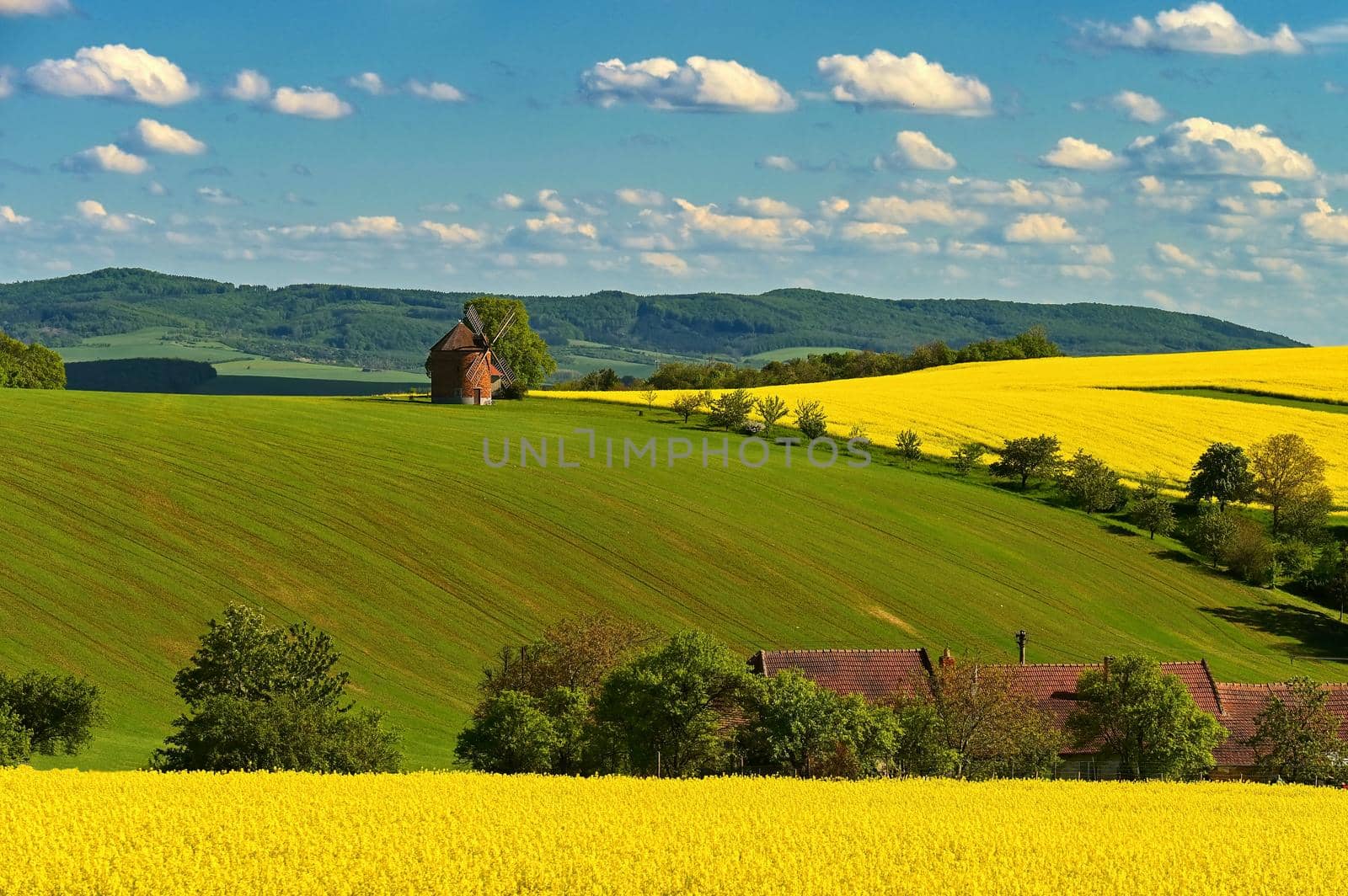 Beautiful spring landscape with blue sky, sun, clouds and old windmill.
Czech Republic Europe