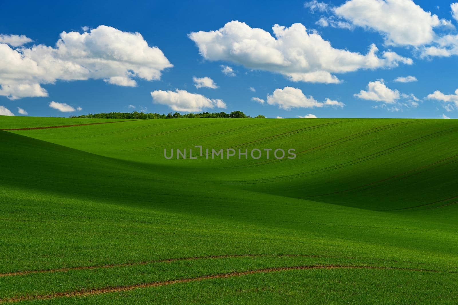 Beautiful spring landscape with blue sky, sun and clouds.
Green field with waves. Czech Republic Europe