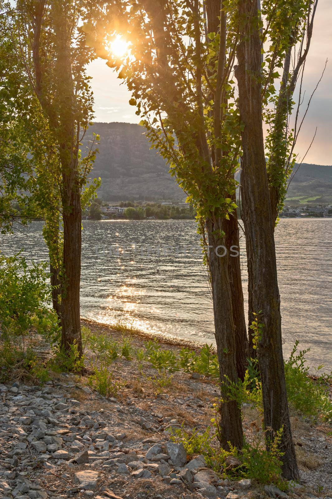 Golden sunset on Osoyoos lake from Haynes point in Swiws park.