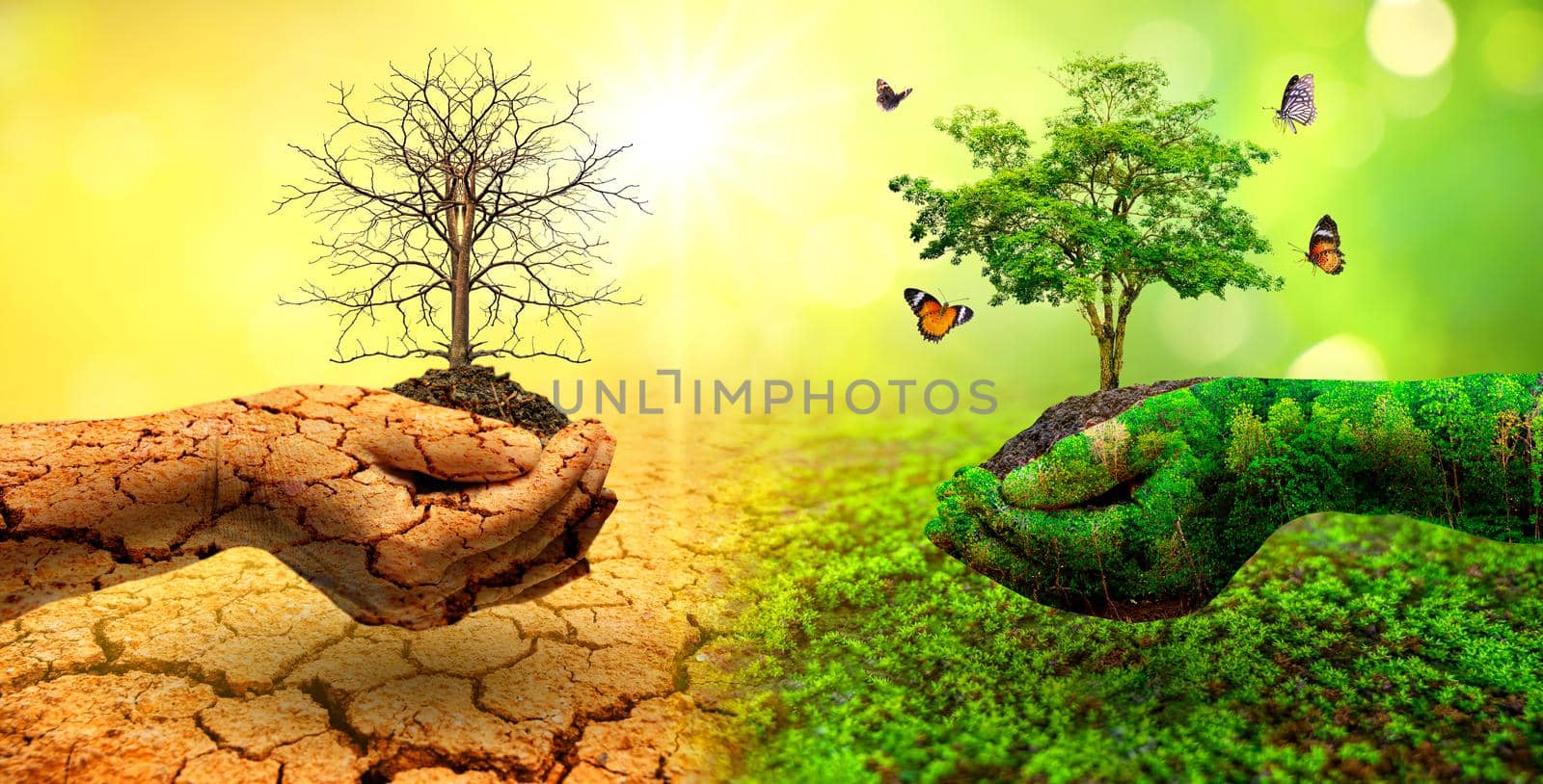 tree in two hands  with very different environments Earth Day or World Environment Day Global Warming and Pollution by sarayut_thaneerat