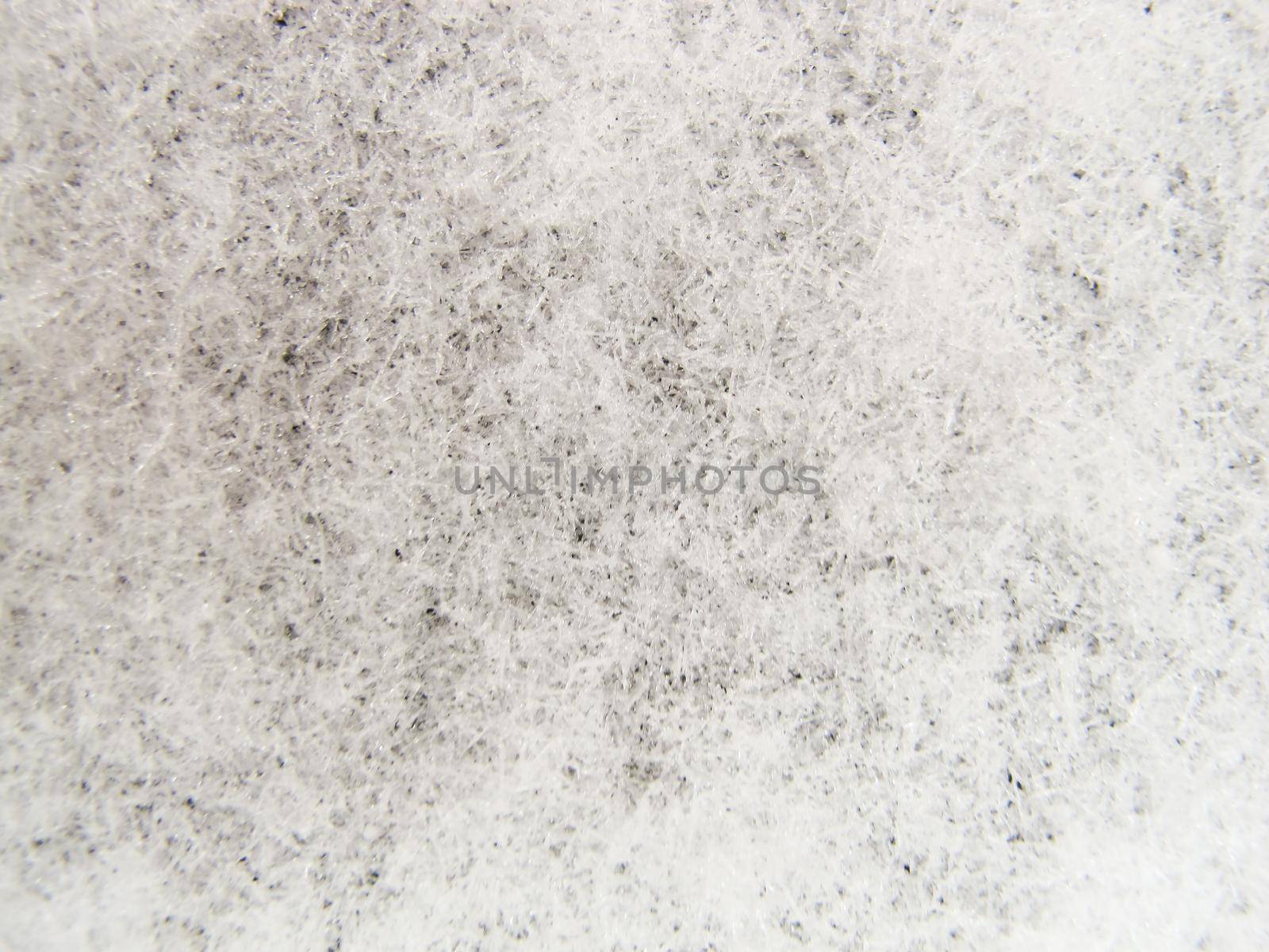 Background of fresh snow. Natural winter background. Snow texture in gray tone
