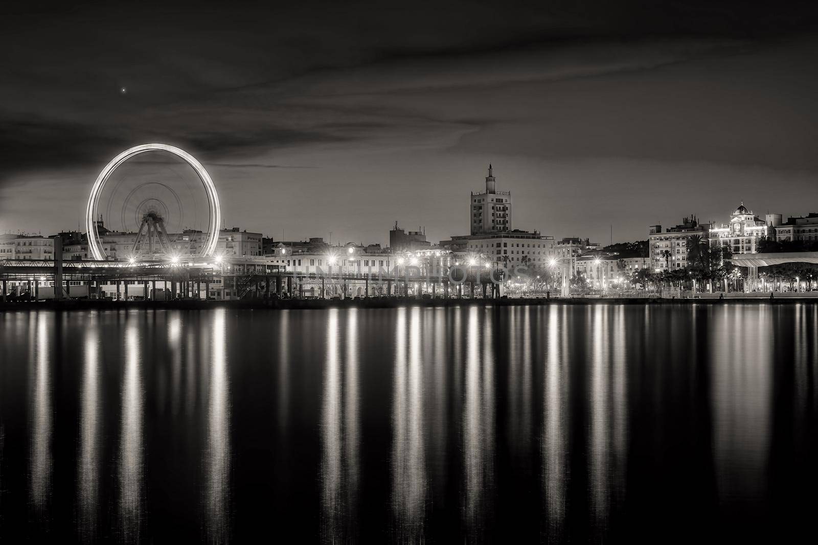 View of Malaga city and Ferris wheel from harbour, Malaga, Spain by Roberto