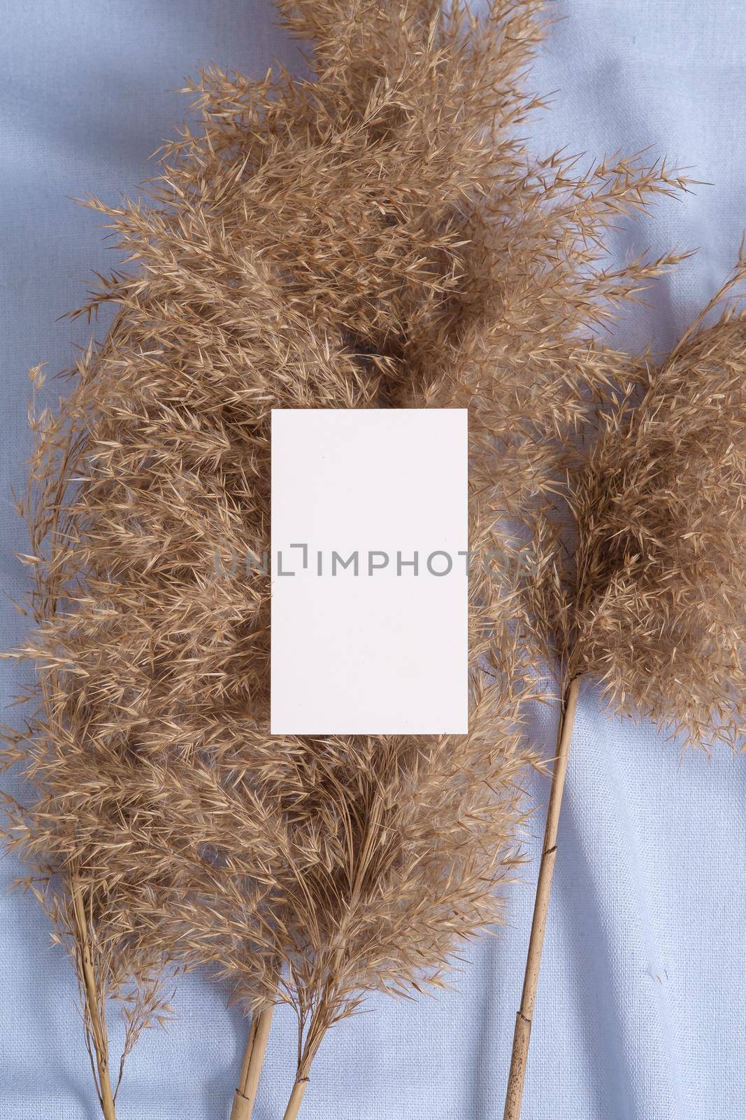 White blank paper card mockup with pampas dry grass on blue neutral colored textile by Frostroomhead