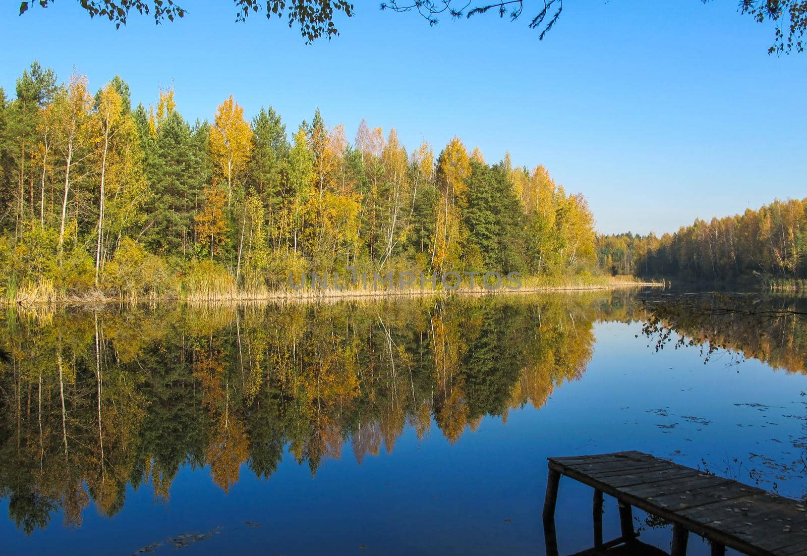 Autumn forest with a beautiful lake in sunny day. Bright colorful trees reflected in calm water with fallen leaves