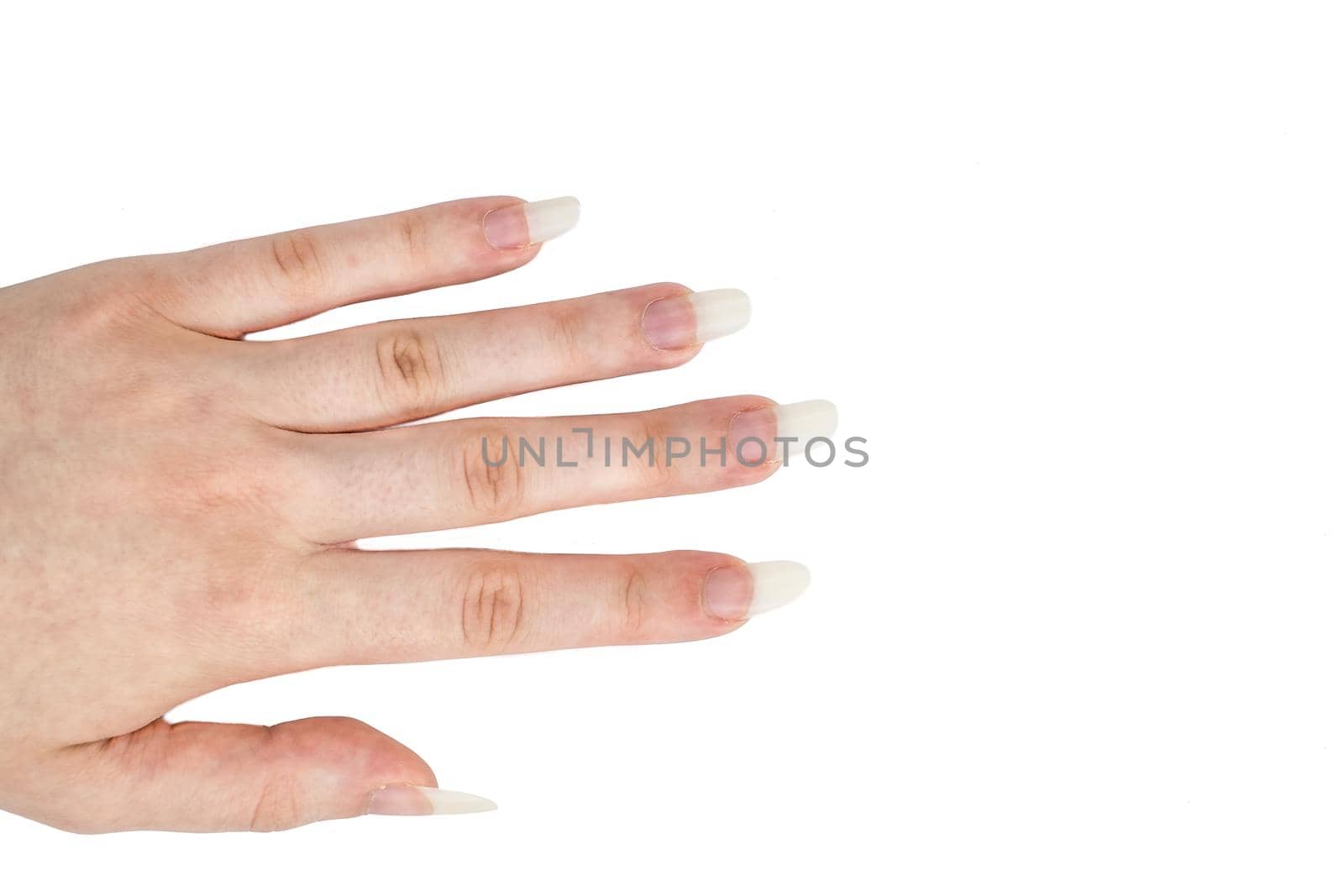 Woman palm with long nails unpainted on white background