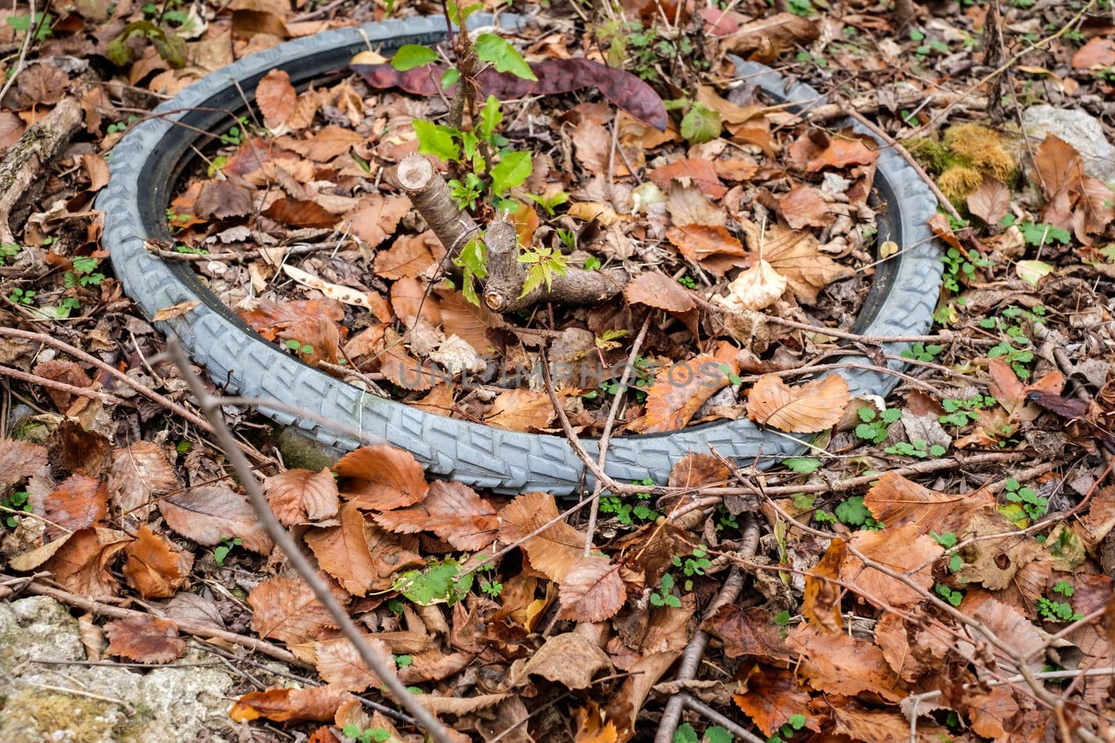 The concept of environmental pollution by human life products. a bicycle tire thrown into the woods