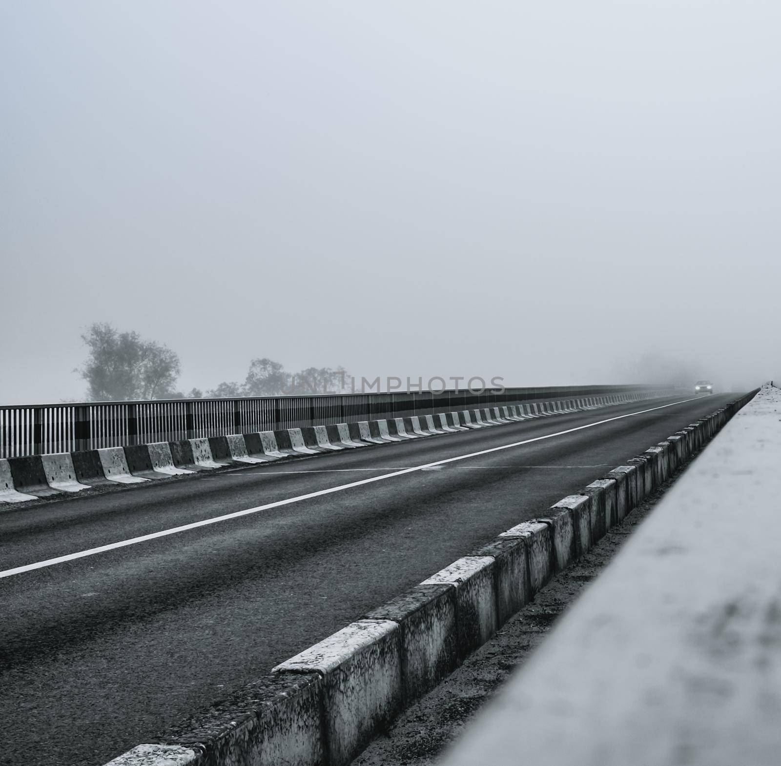 a car on the road in fog