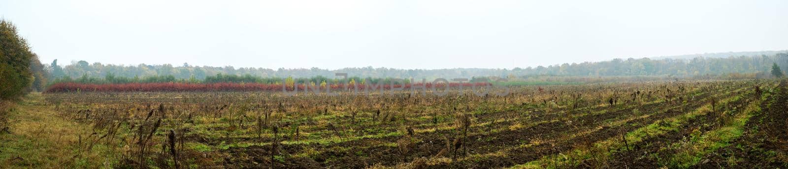 a cool morning over the plowed land