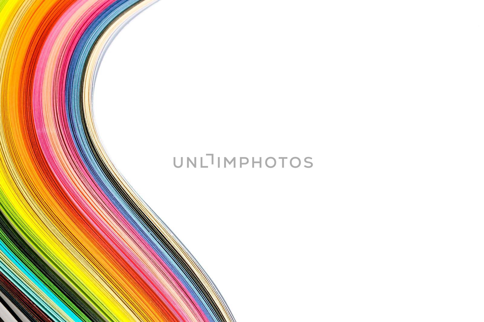 Abstract color wave curl rainbow strip paper on white background by Roberto