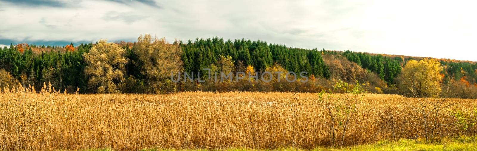 autumn landscape, Lipnik (Teketo) park, Samundzhi village area, Ruse district, Bulgaria