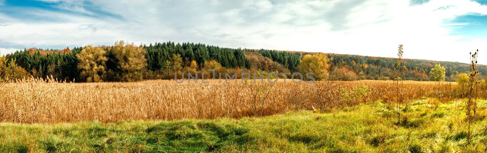 autumn landscape, Lipnik (Teketo) park, Samundzhi village area, Ruse district, Bulgaria