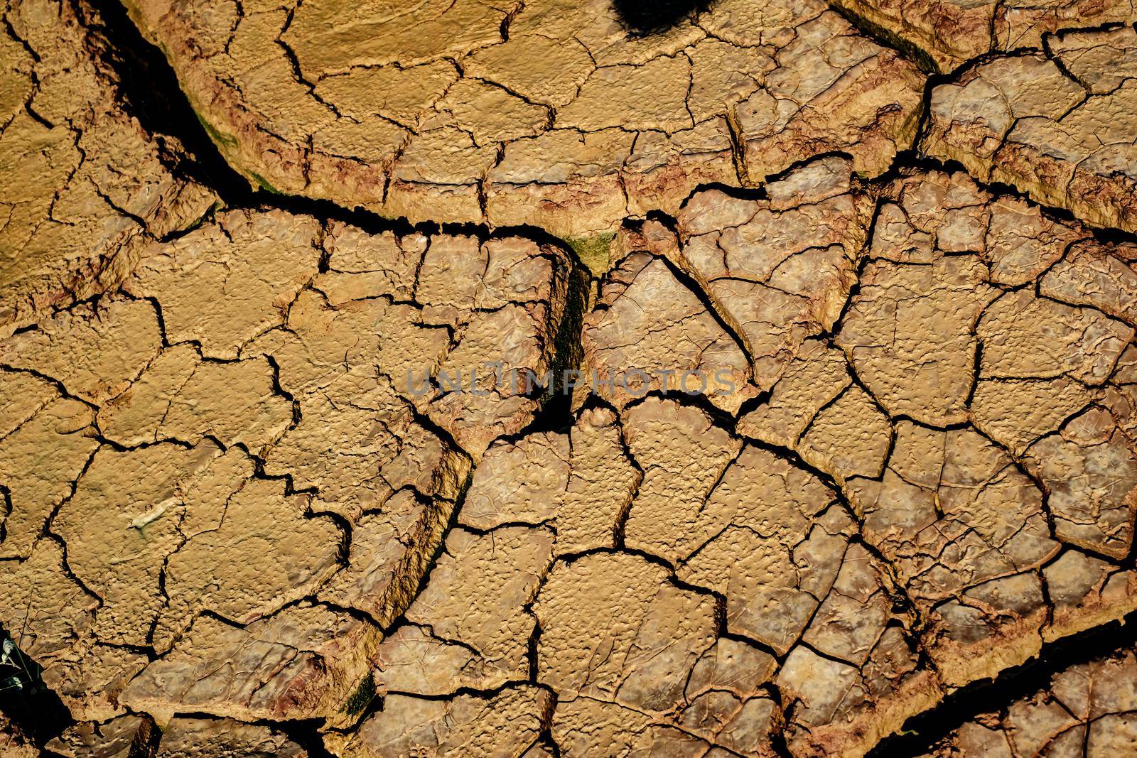 Dried earth with cracks on summer sunny day by Roberto