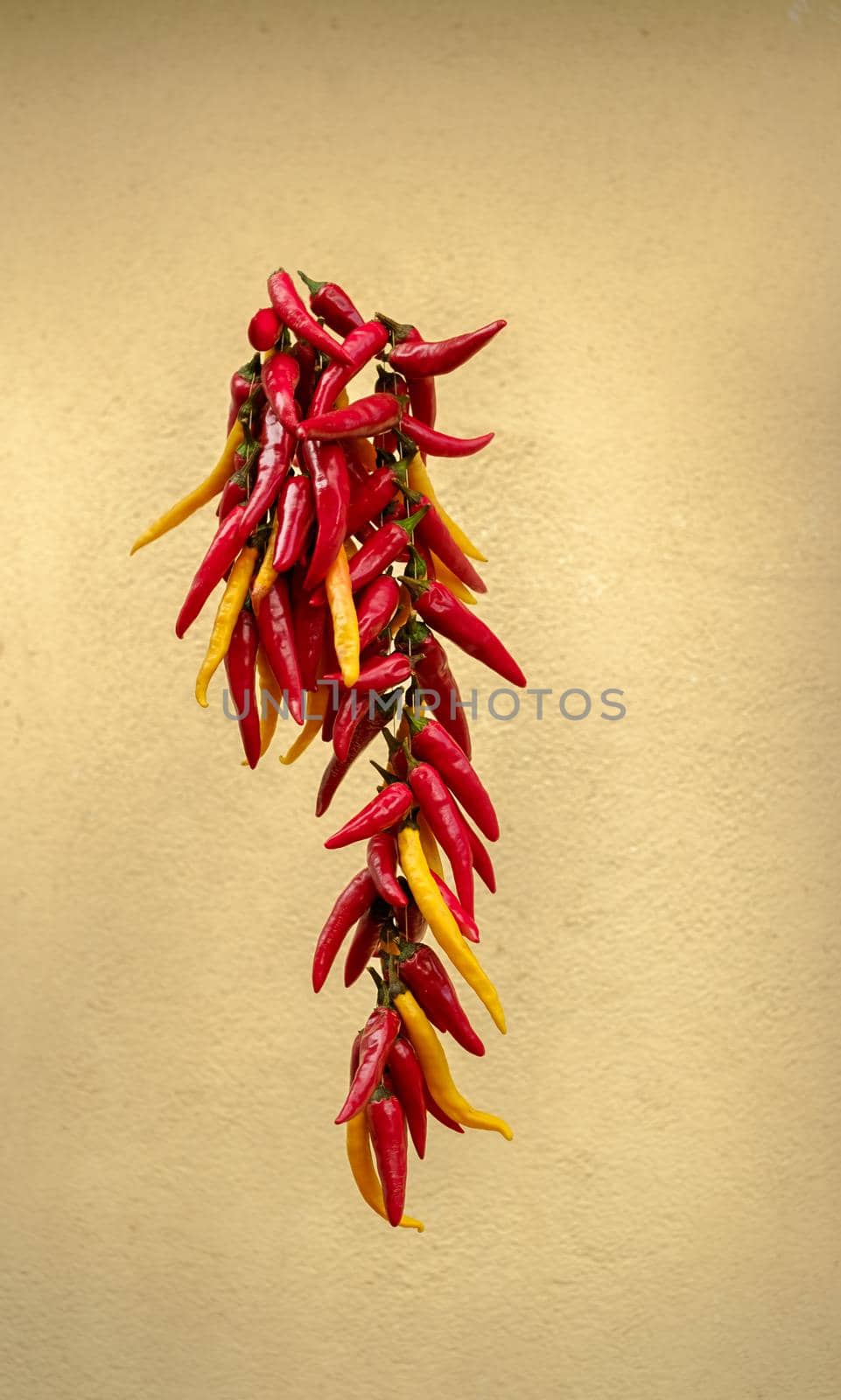 Dried peppers on a thread by Roberto