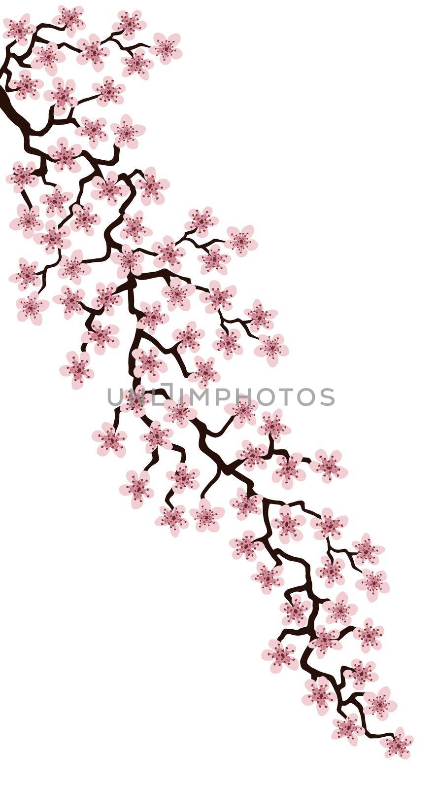 Vertical Floral greeting card with beautiful pink blossom flowers branch Sakura. White colors Background with copy space on Cherry Twig In Bloom.Postcard good for wedding invitation, Mother, Women day