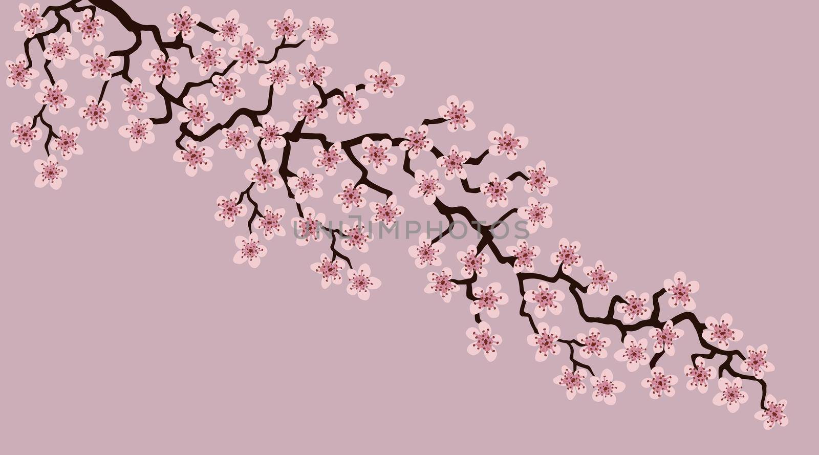 Floral greeting card with beautiful pink blossom flowers branch Sakura.Rosy brown colors Background with copy space text on Cherry Twig In Bloom.Postcard good for wedding invitation, Mother, Women day