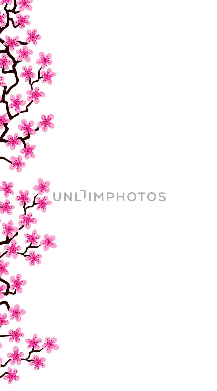 Vertical banner with blossom sakura flowers.Floral wedding invitation card template design. White background of summer fuchsia blooming sakura branch decoration, copy space. Postcard Mother, Women day