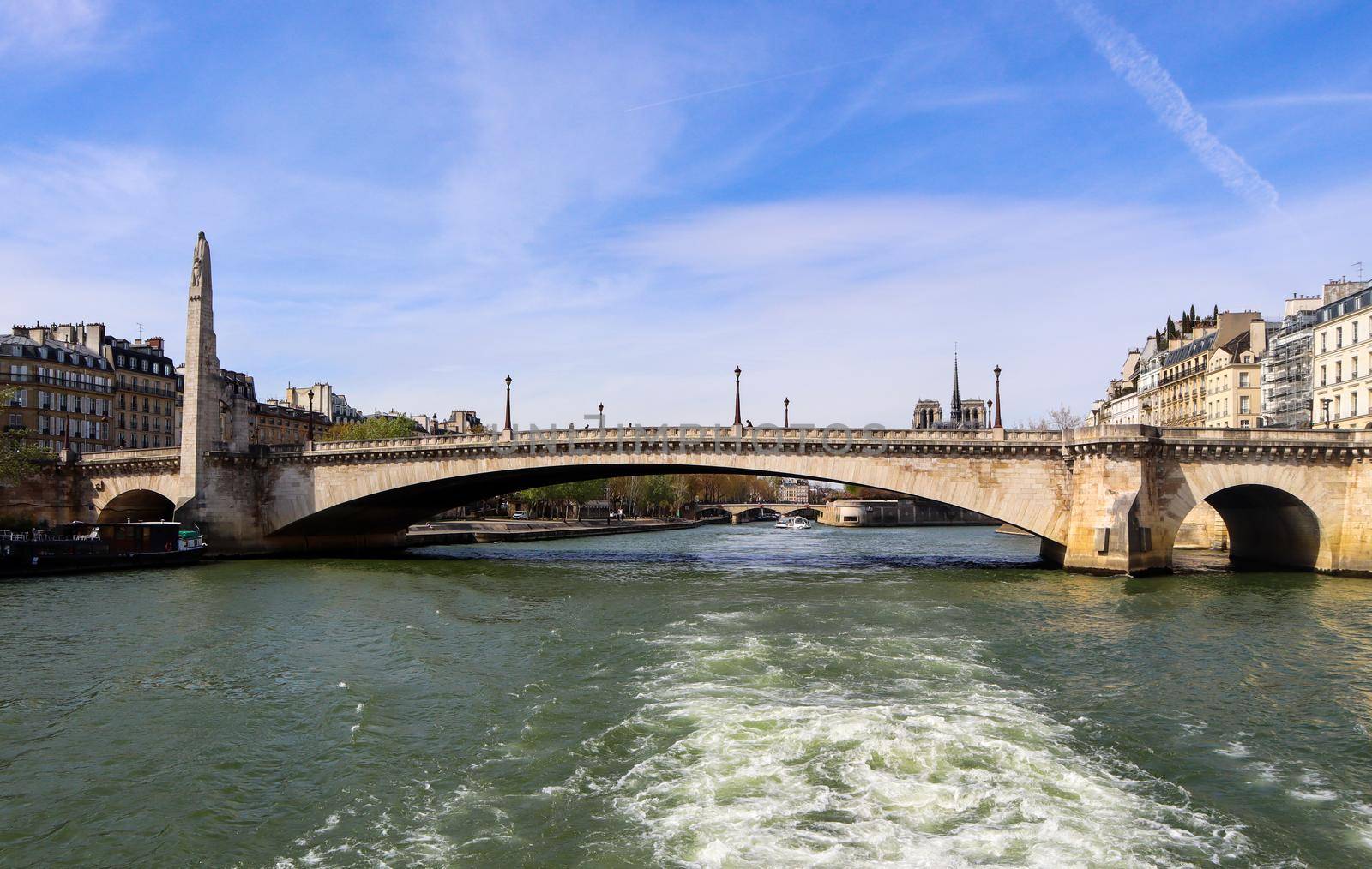 Bridge Pont de la Tournelle across Seine River and beautiful historic buildings of Paris France. April 2019 by Olayola