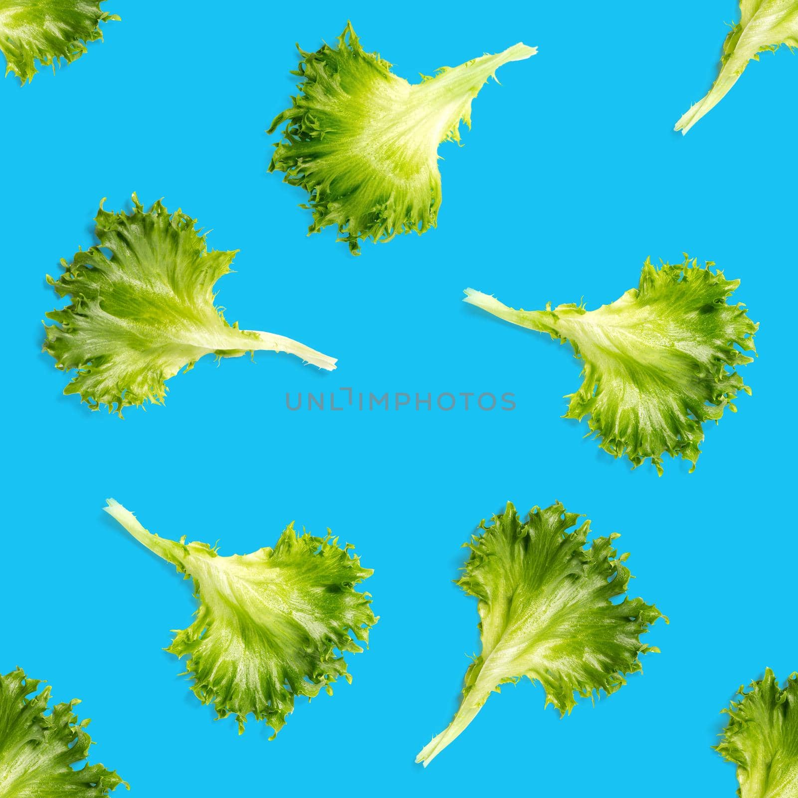seamless pattern from lettuce green leaves salad. frillice salad isolated on blue. iceberg salad leaf close up, modern background, flat lay. lettuce green leaf pattern