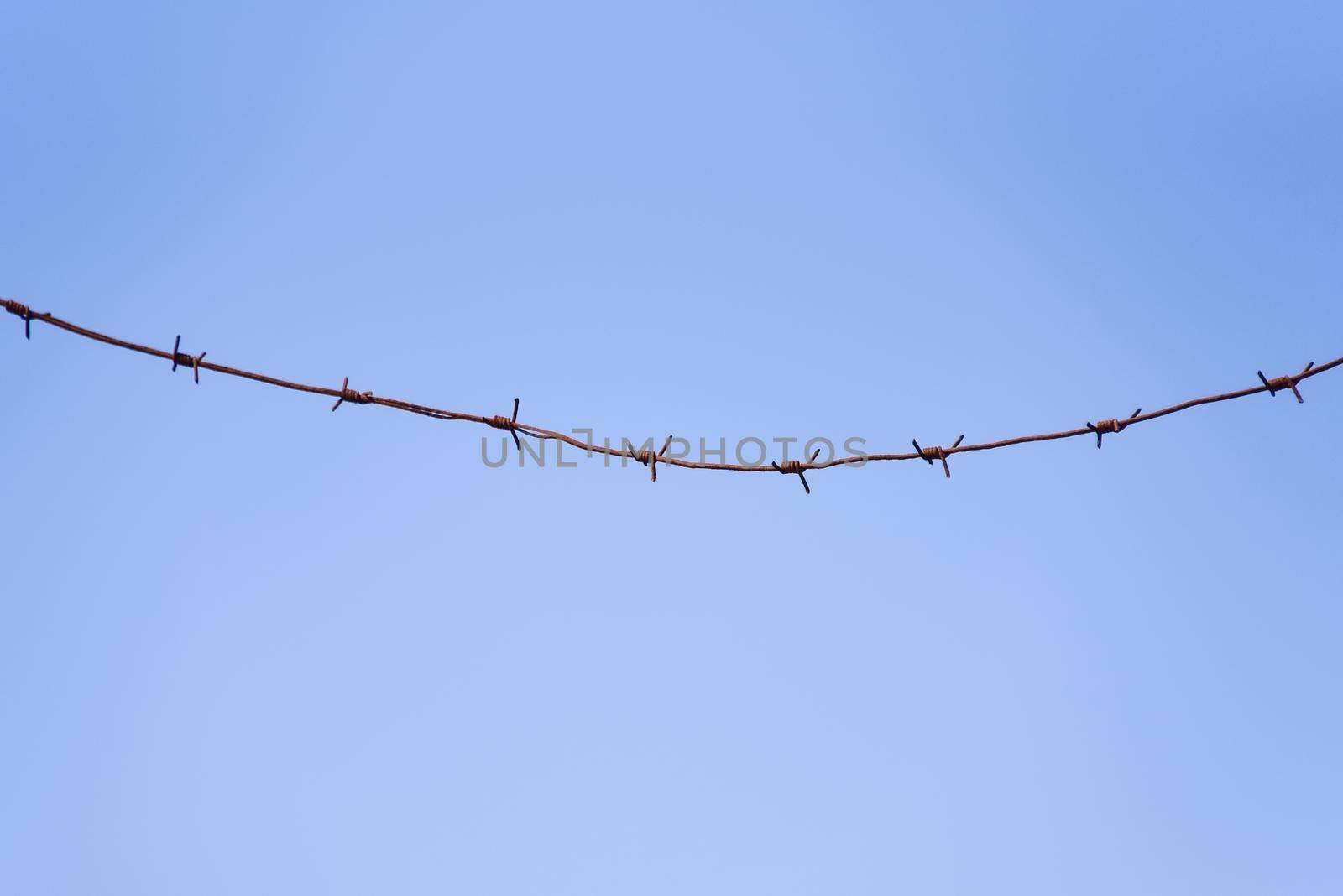 barbed wire against a blue sky background.