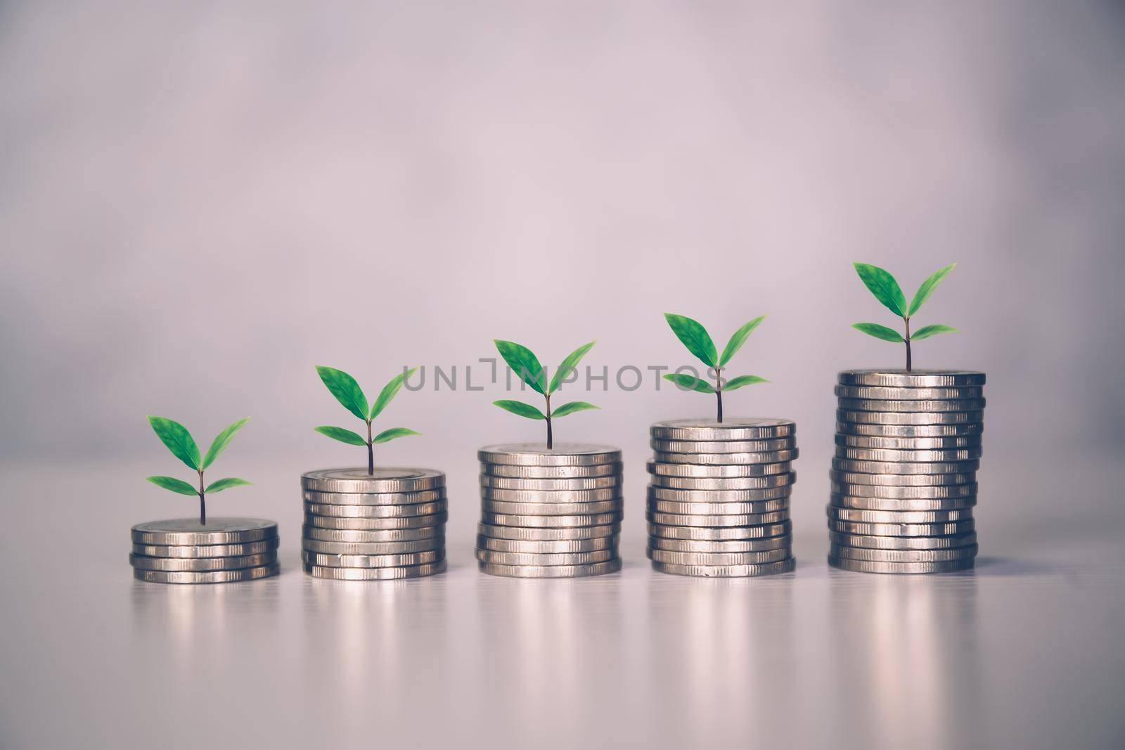 Coin stack with increase growth and leaf, finance and saving with tree, investment for profit and success, planning with financial, growing economy and fund, stock and income, business concept. by nnudoo