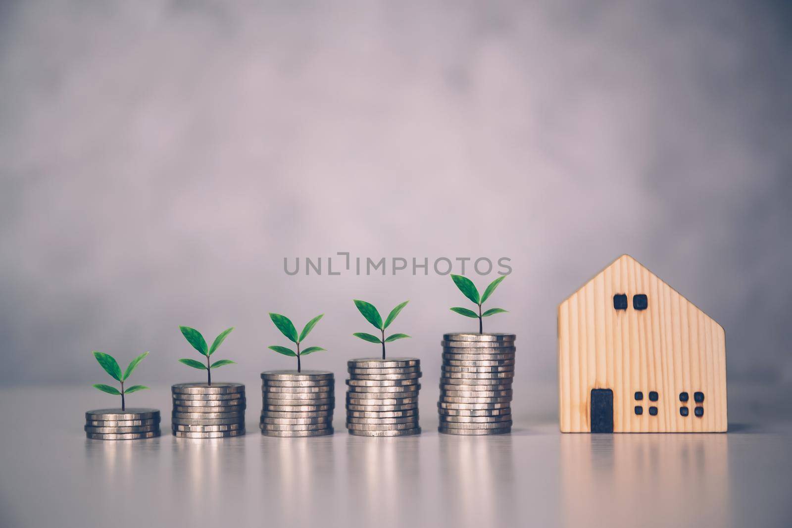 Stack of coin and tree with saving money for real estate and success, finance and investment with leaf, insurance home, deposit and property, residential and financial, business concept. by nnudoo