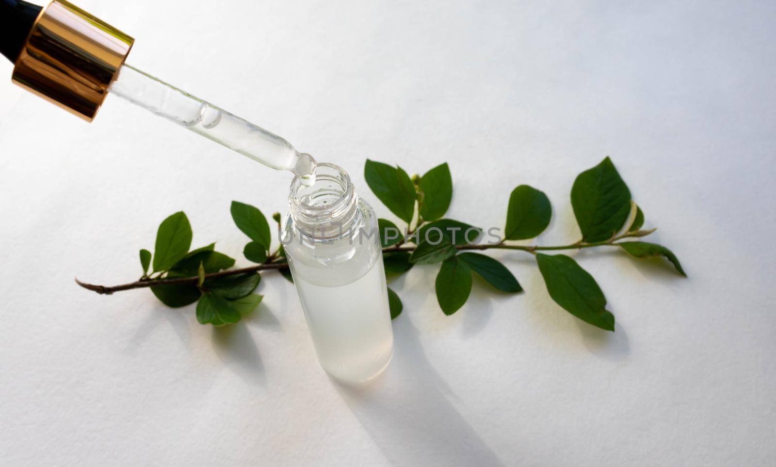 Cosmetic pipette, bottle and green branch on a white background.