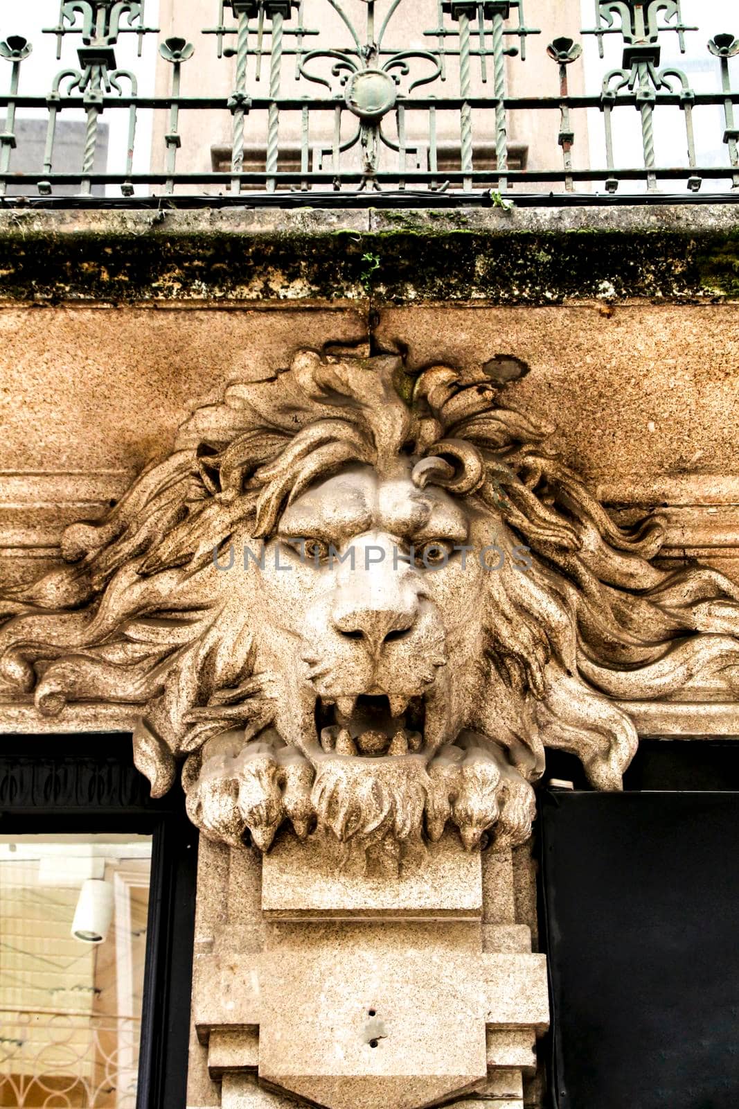 Beautiful portuguese facade with carved stone lion in Oporto