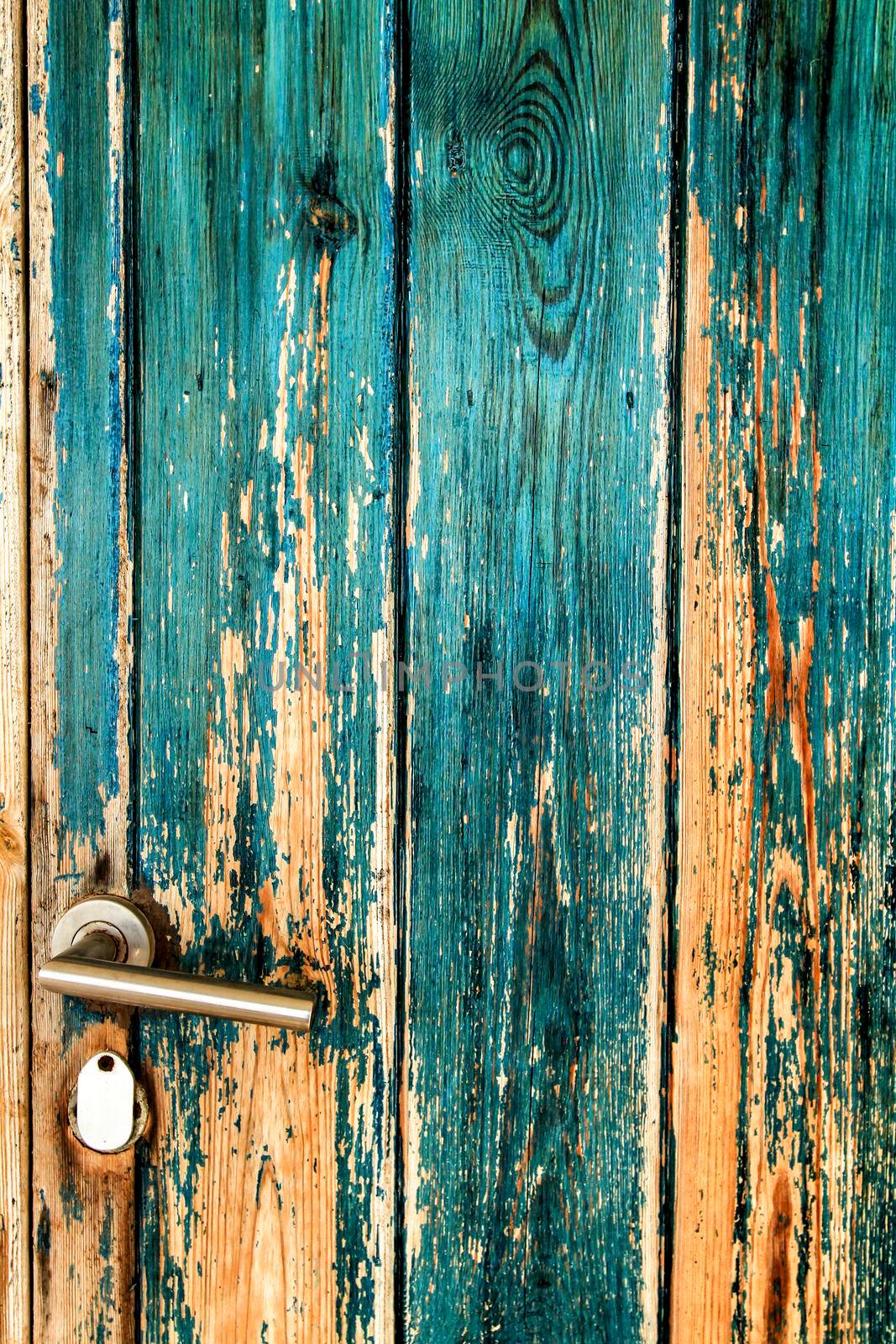 Old wooden door painted green texture