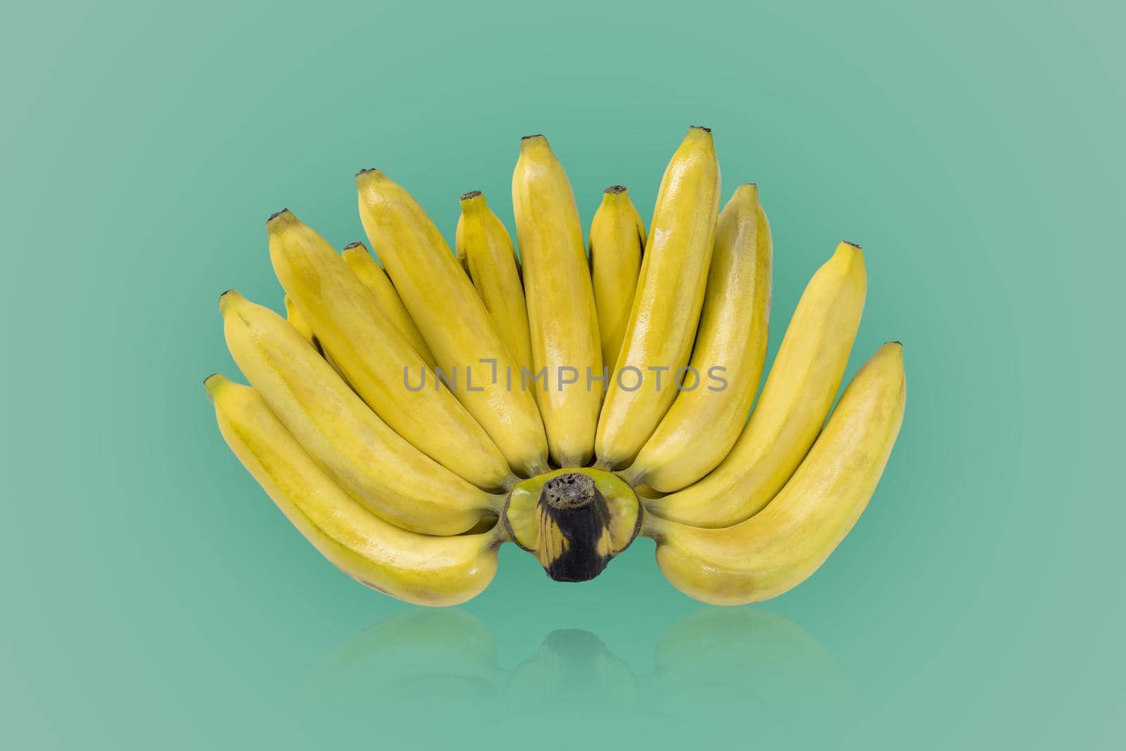 Group of yellow color ripe bananas  isolated on green colors background.