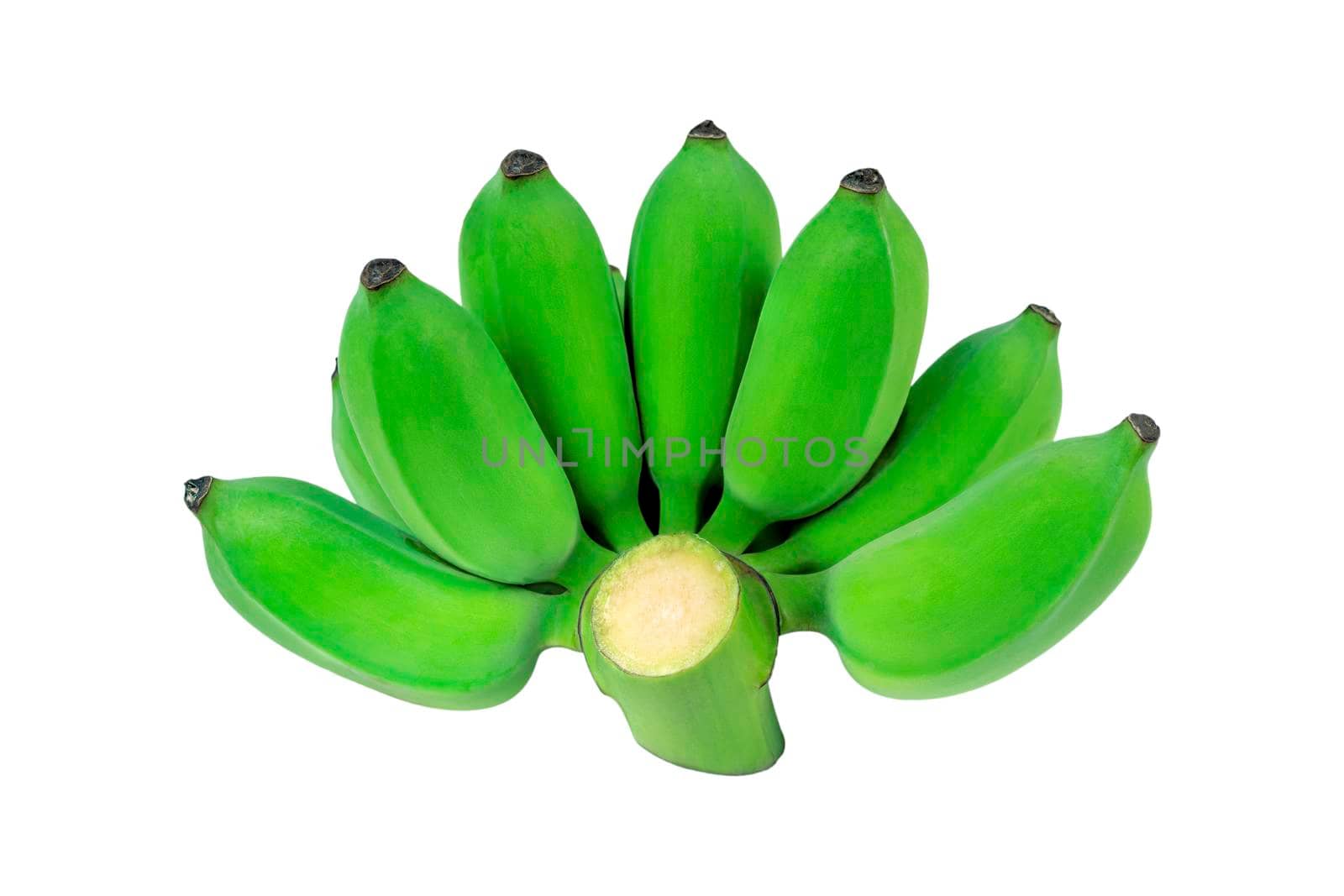 Group of green color raw bananas  isolated on white background. by wattanaphob