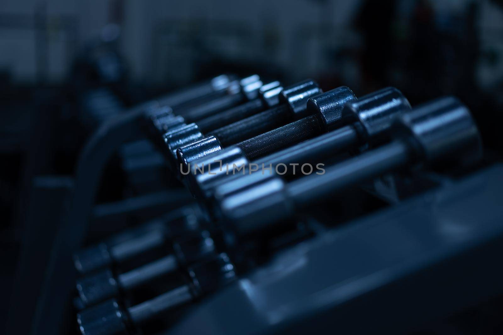Gym. Metal dumbbells in a row Sport and fitness concept Dark toned horizontal photo
