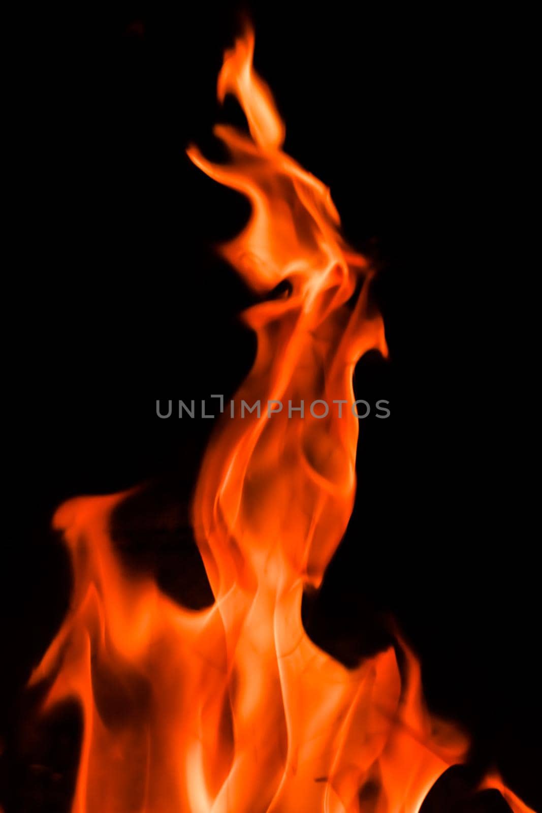 Red blaze Fire flame on a black background by Olayola