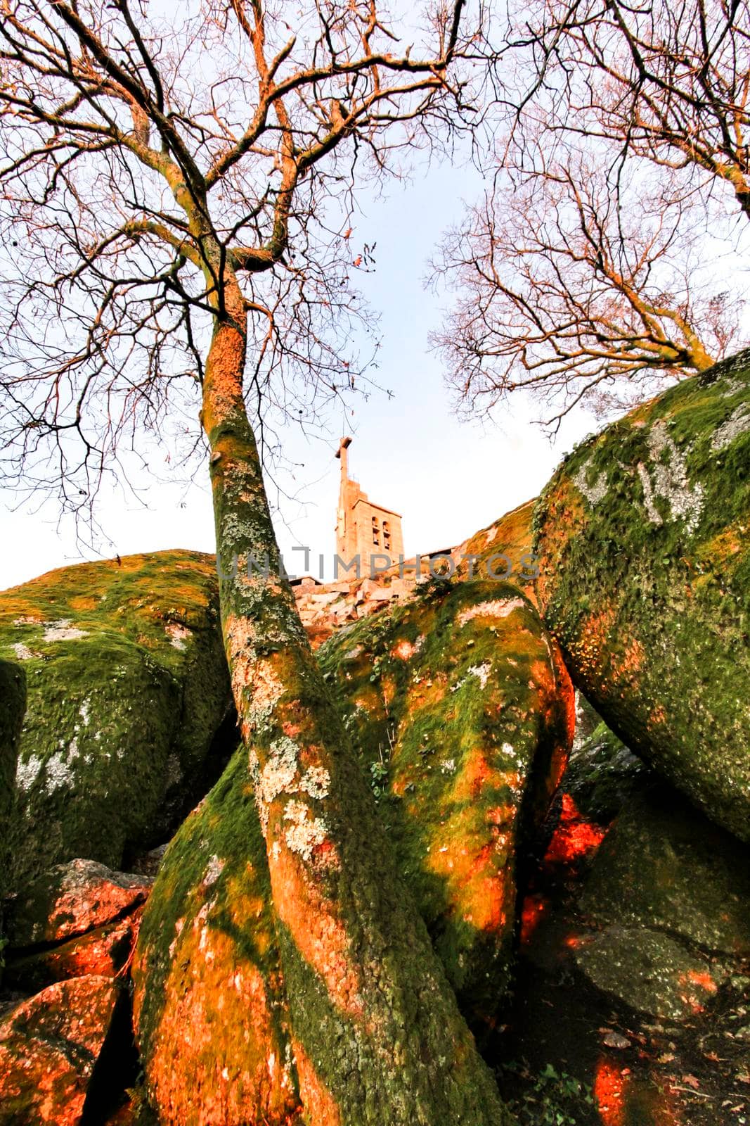Beautiful sunset in leafy forest with colossal rock formations and majestic trees with soft sun rays in the Sanctuary of Penha in Guimaraes, Portugal