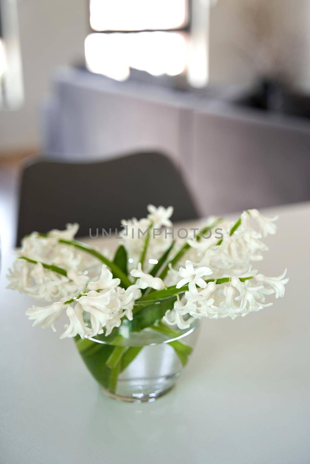 White living room interior decorated with fresh flowers in glass vase.