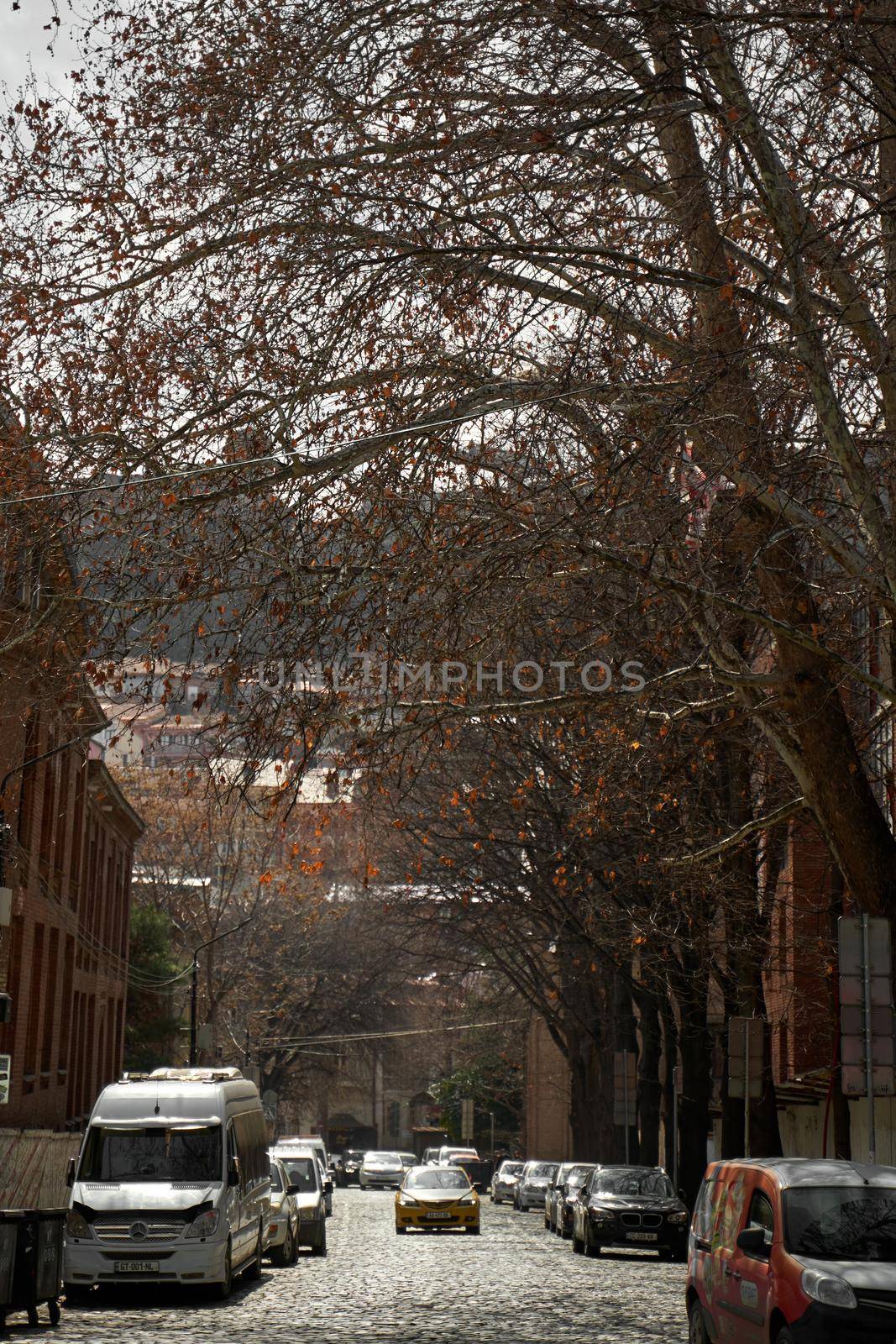 The street on which cars go. City streets of the old district of Tbilisi.