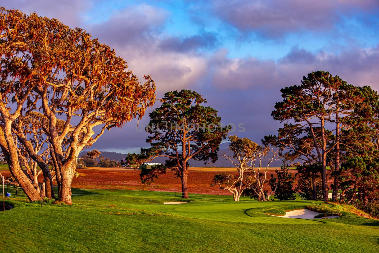 Pebble Beach golf course, Monterey, California, usa