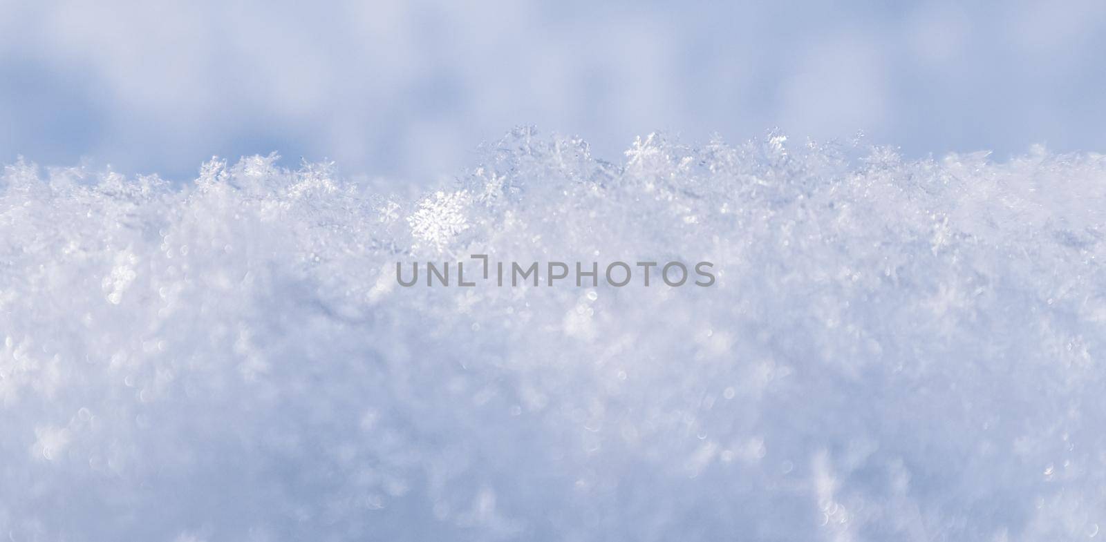 Background of fresh snow. Natural winter background. Snow texture in blue tone.