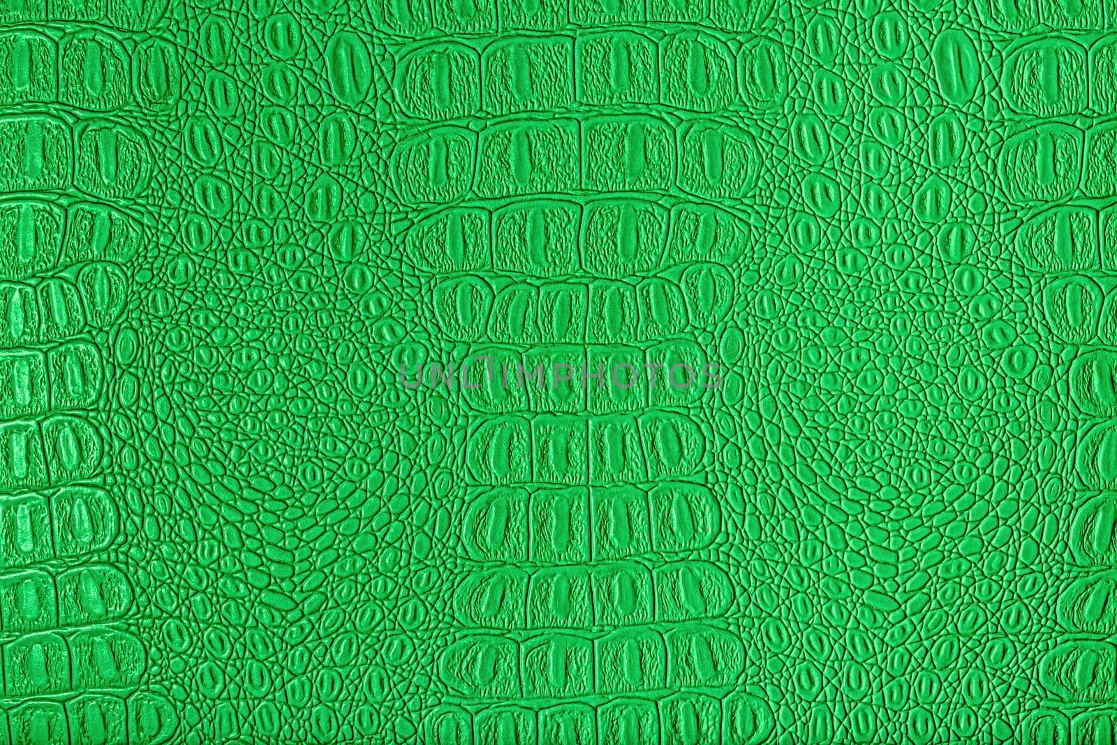 Green crocodile leather texture. Abstract background for design.