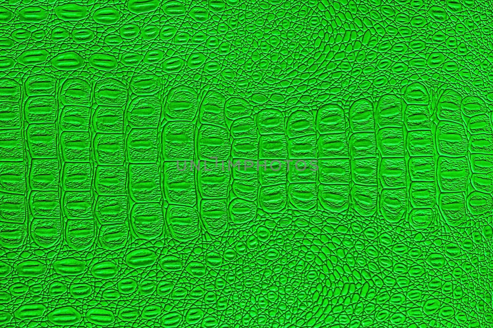 Green crocodile leather texture. Abstract background for design.